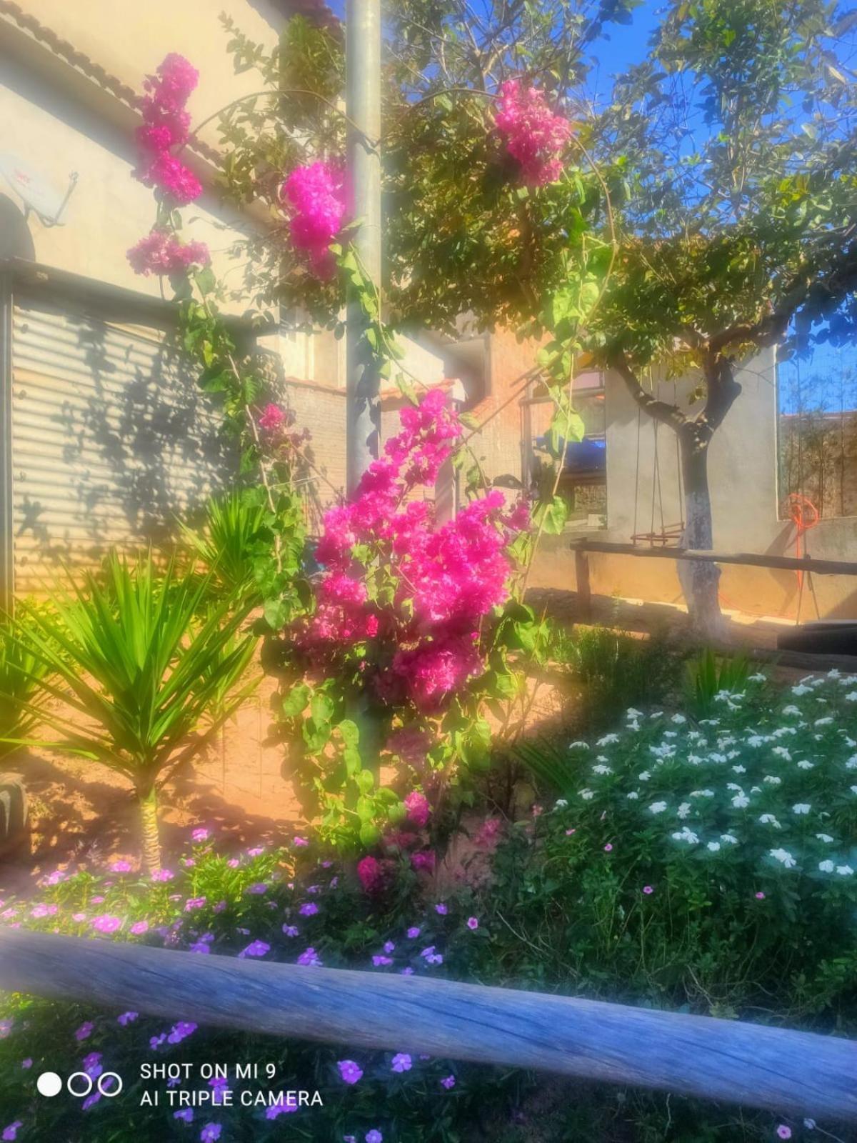 Casa Aconchegante Daire Sao Lourenco  Dış mekan fotoğraf