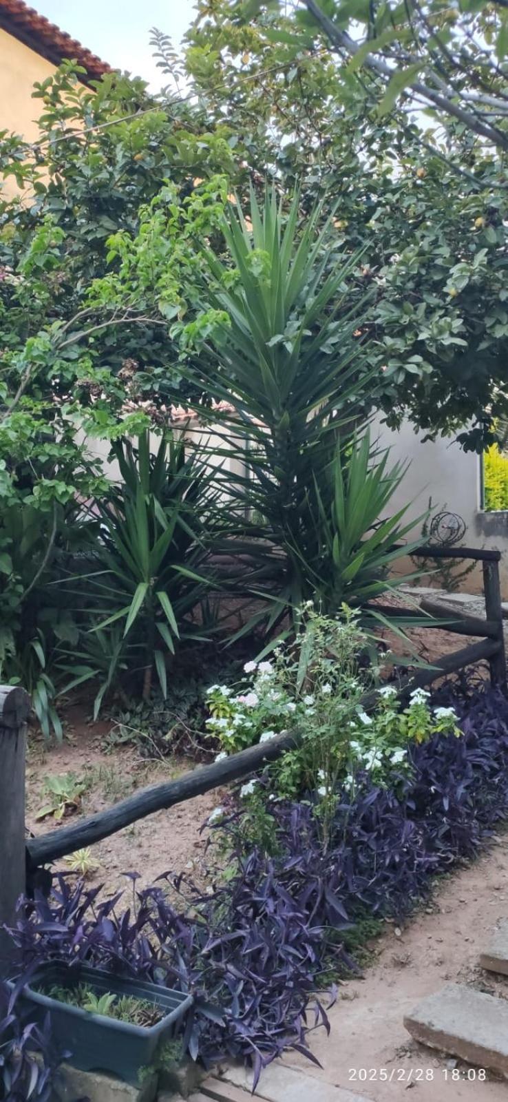 Casa Aconchegante Daire Sao Lourenco  Dış mekan fotoğraf